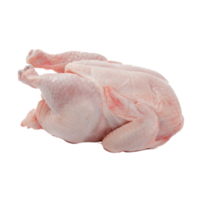 Grilled chickens, frozen, 14 pcs x 700 g, 9,80 kg