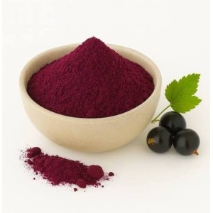  freeze-dried blackcurrant powder, 10 kg