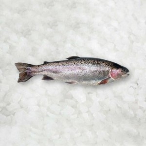 Upėtakiai vaivorykštiniai, šaldyti, 250-300 g, 5 kg