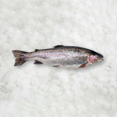 Upėtakiai vaivorykštiniai, šaldyti, 250-300 g, 5 kg
