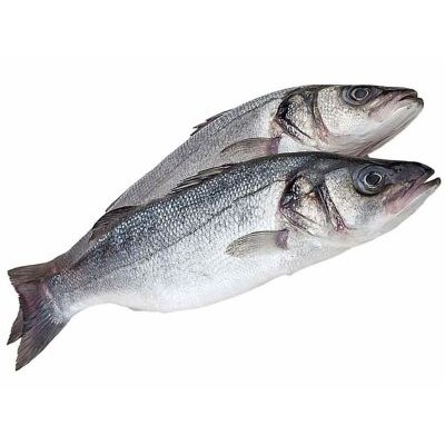 Paprastasis vilkešeris, skrostas  300-400 g, šaldyta, 5 kg